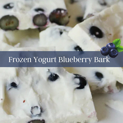 Frozen yogurt blueberry bark