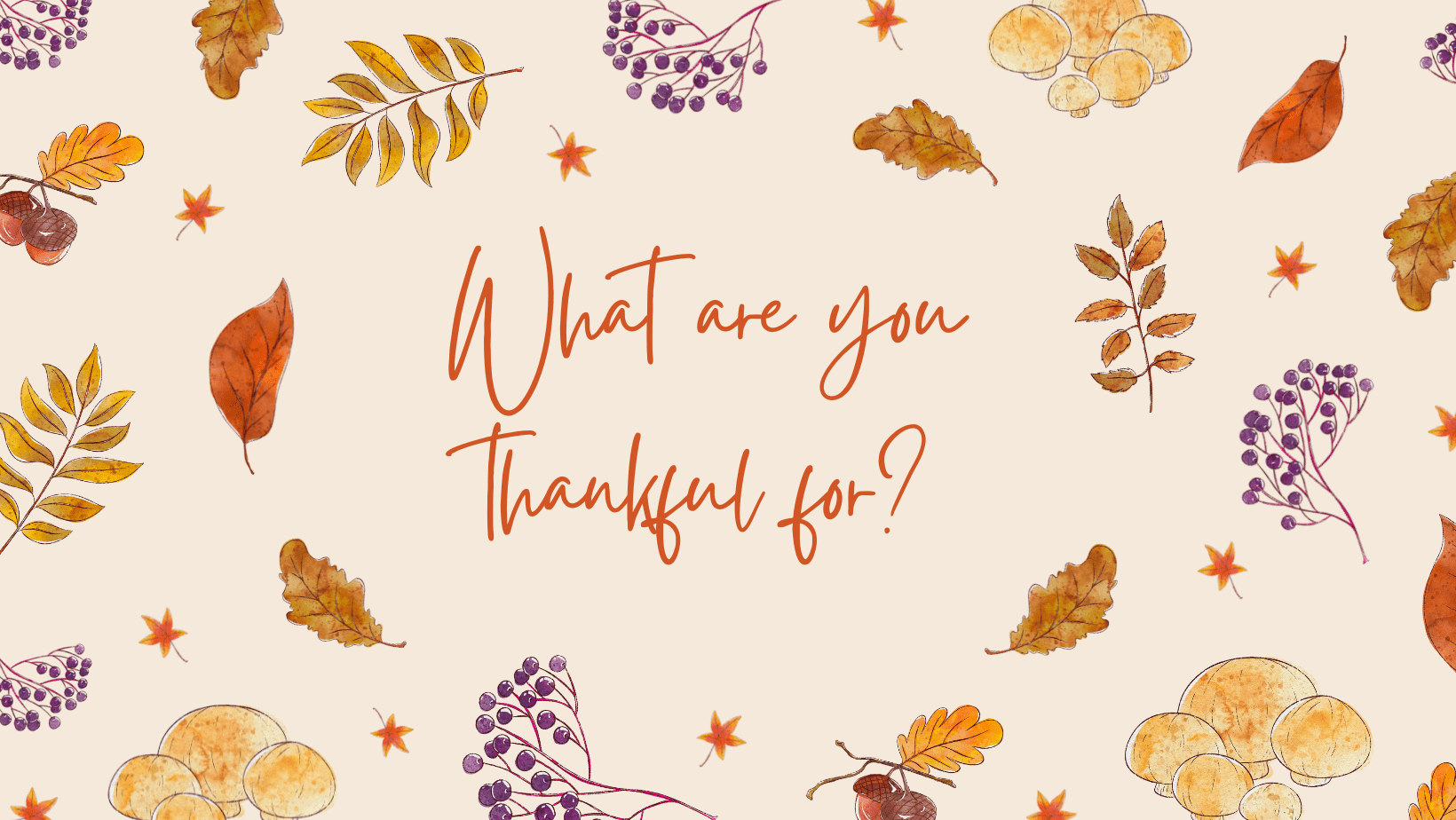 What are you thankful for?