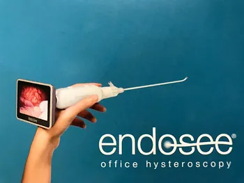 Endosee, Hysteroscopy